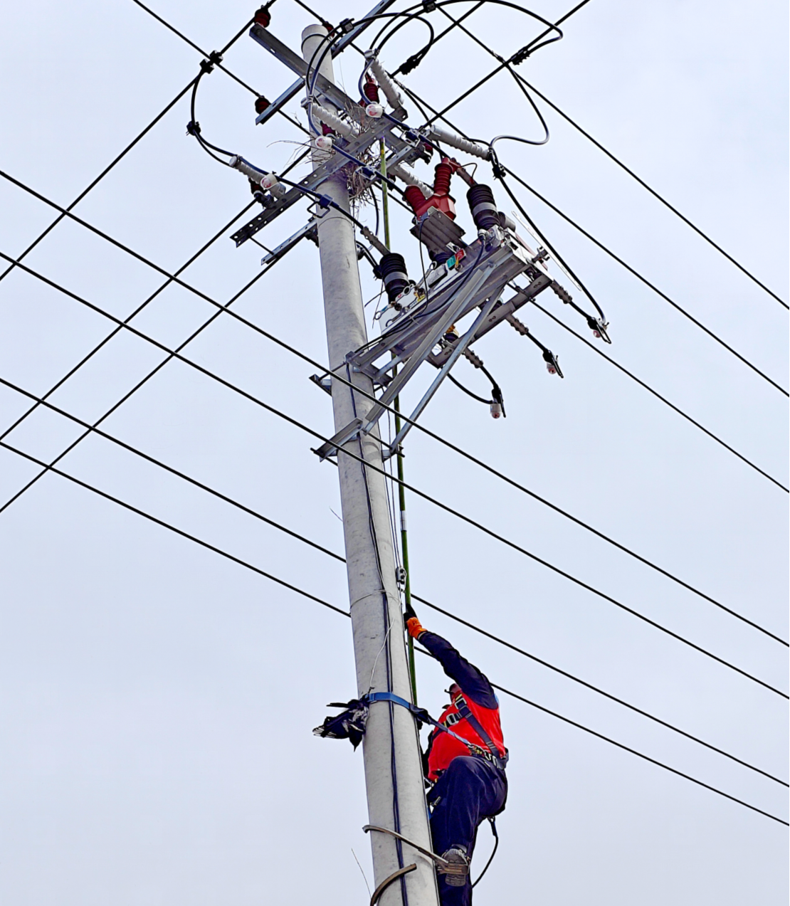 1711676289052045741.png 23.png